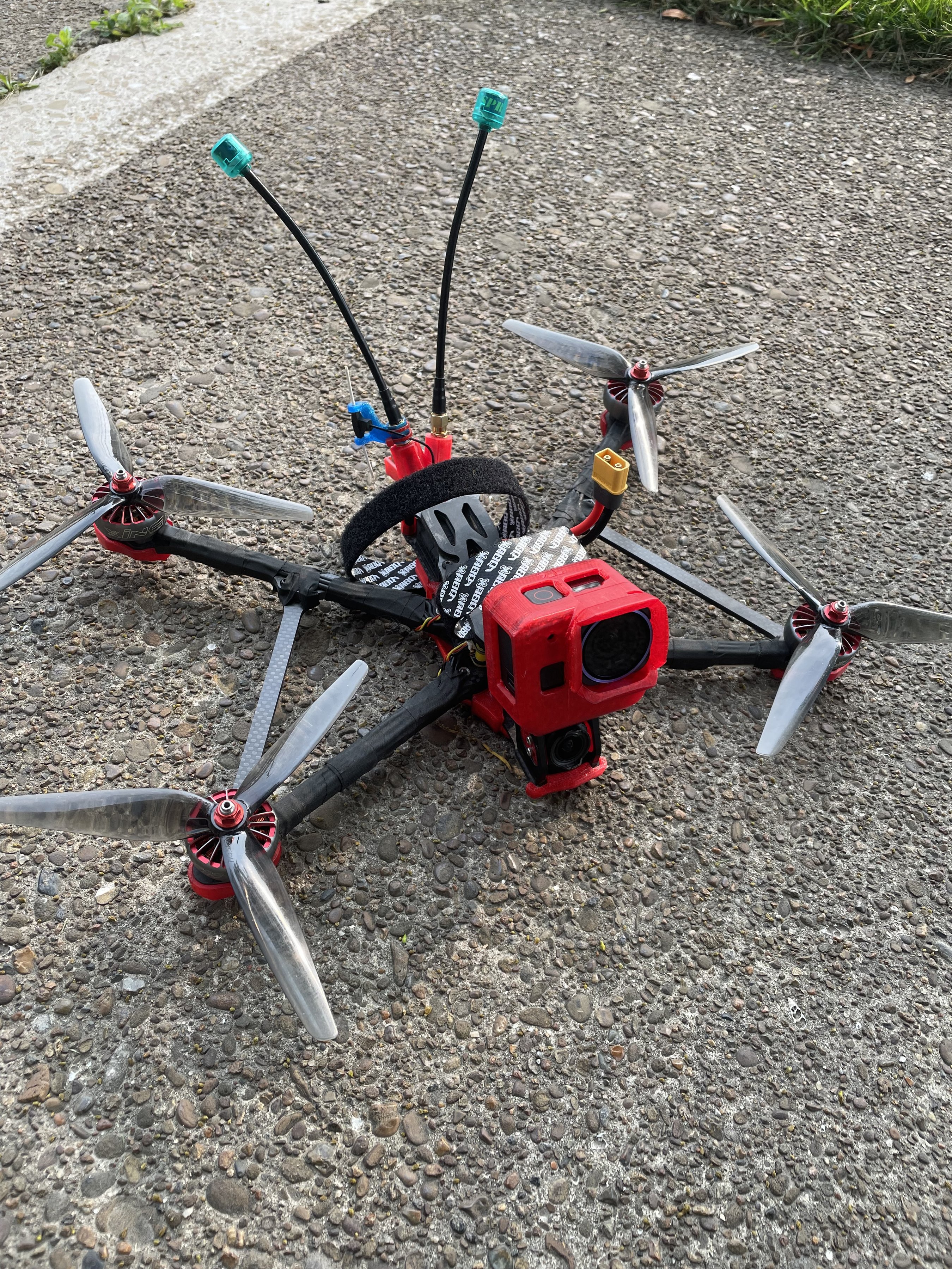 build image 313510005