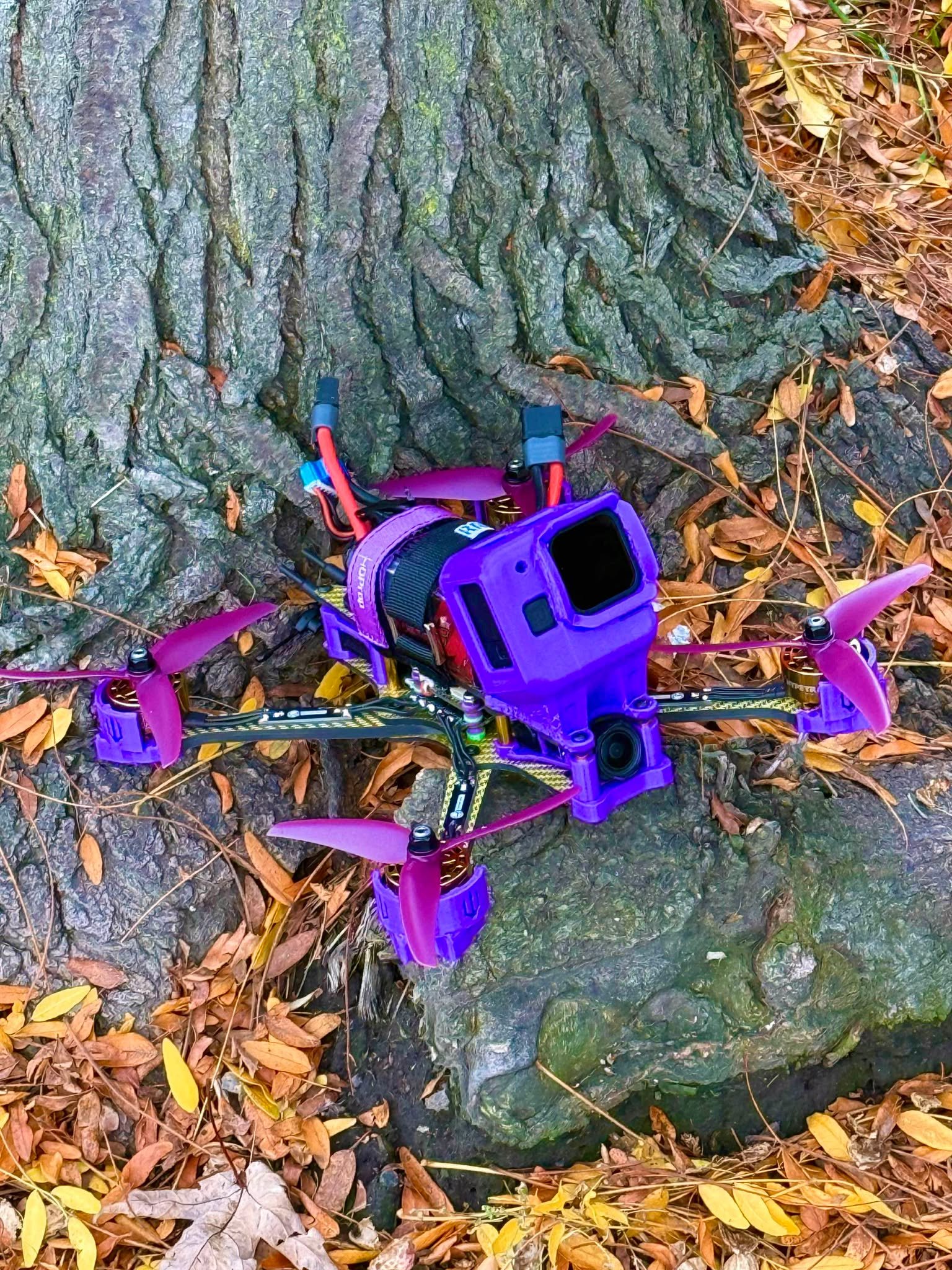 build image 588830006