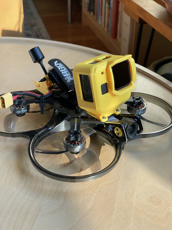 Bee35 GoPro Mini11