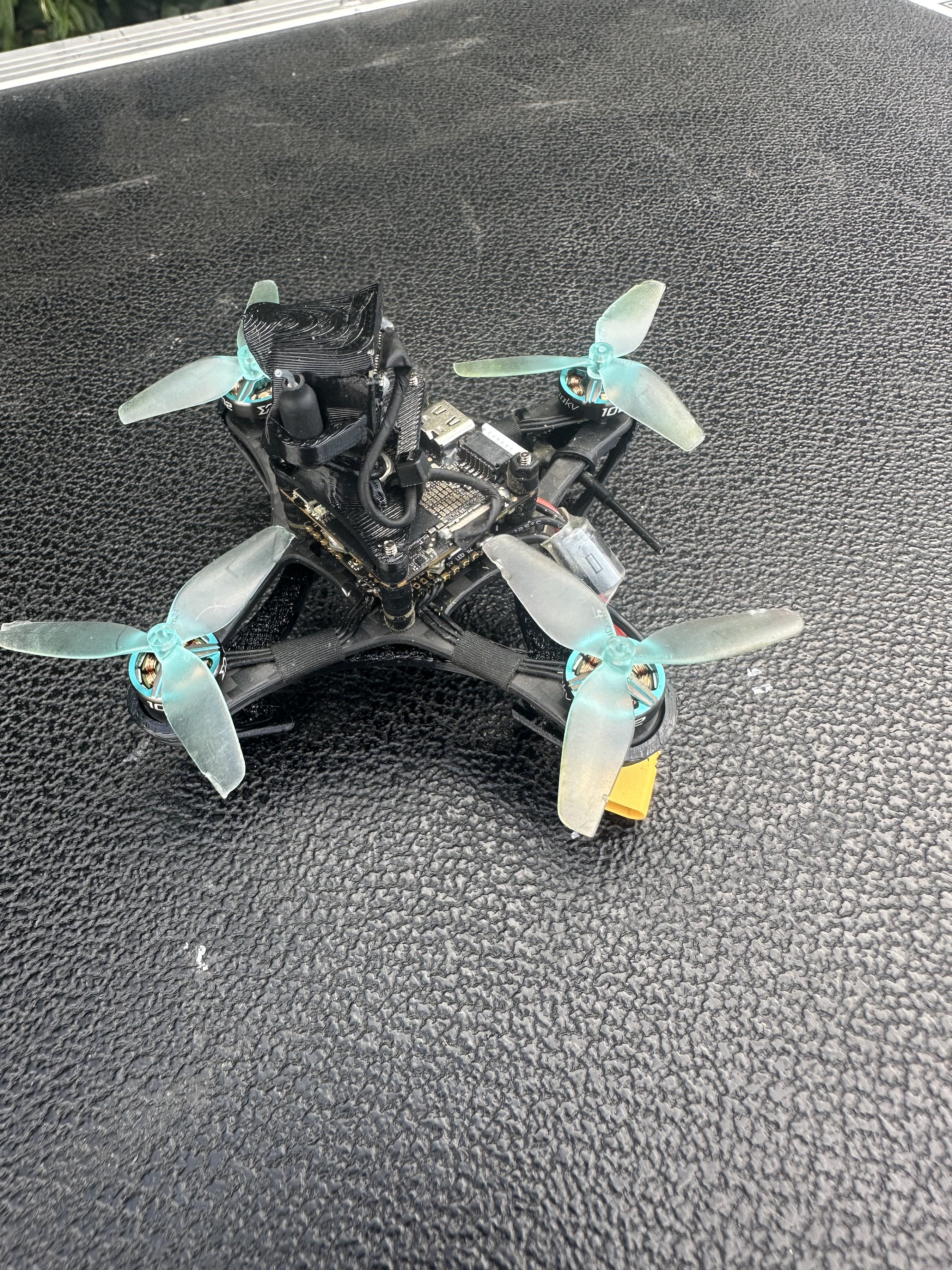 build image 999560003