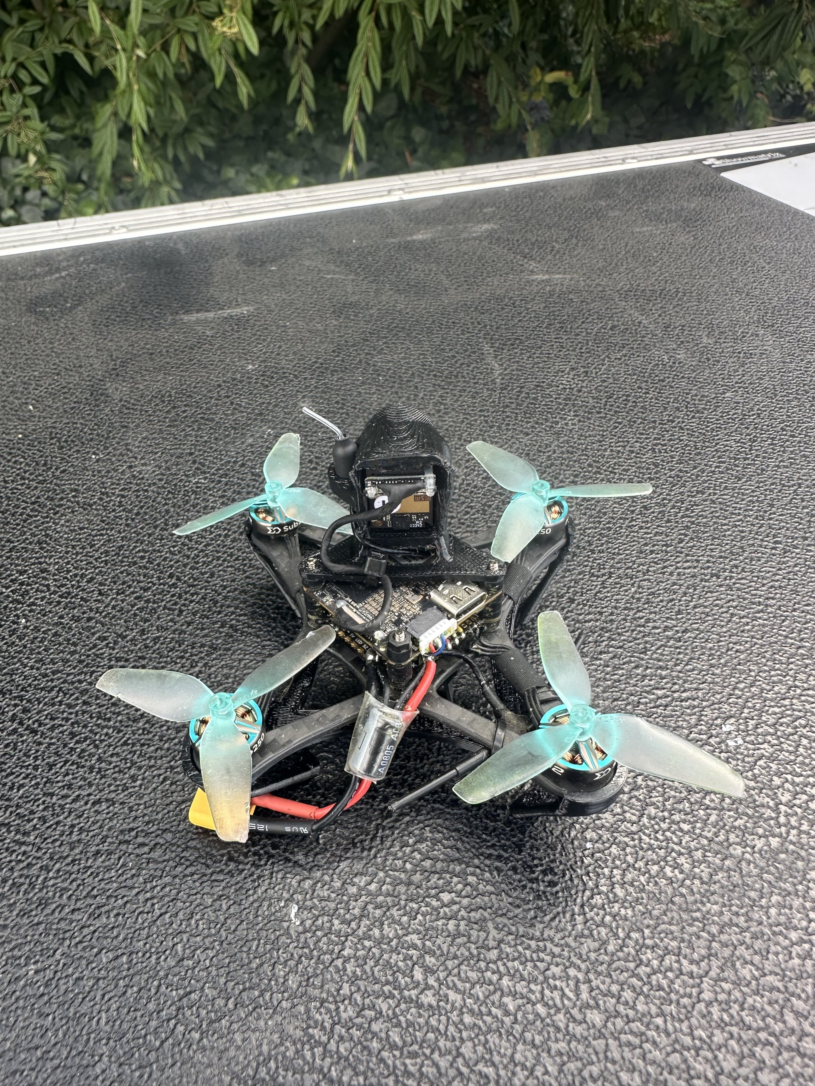 build image 999560004